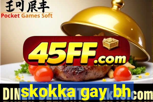 skokka gay bh